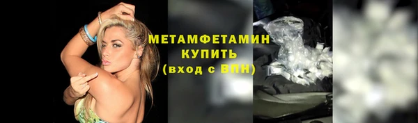 стафф Новозыбков