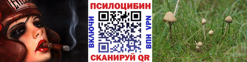 OMG ссылки  Зея  Псилоцибиновые грибы прущие грибы 